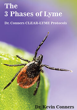 the-three-3-phases-of-lyme-clear-protocols-dr-kevin-conners-clinic-250