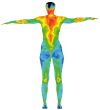 thermography-transparent-conners-clinic